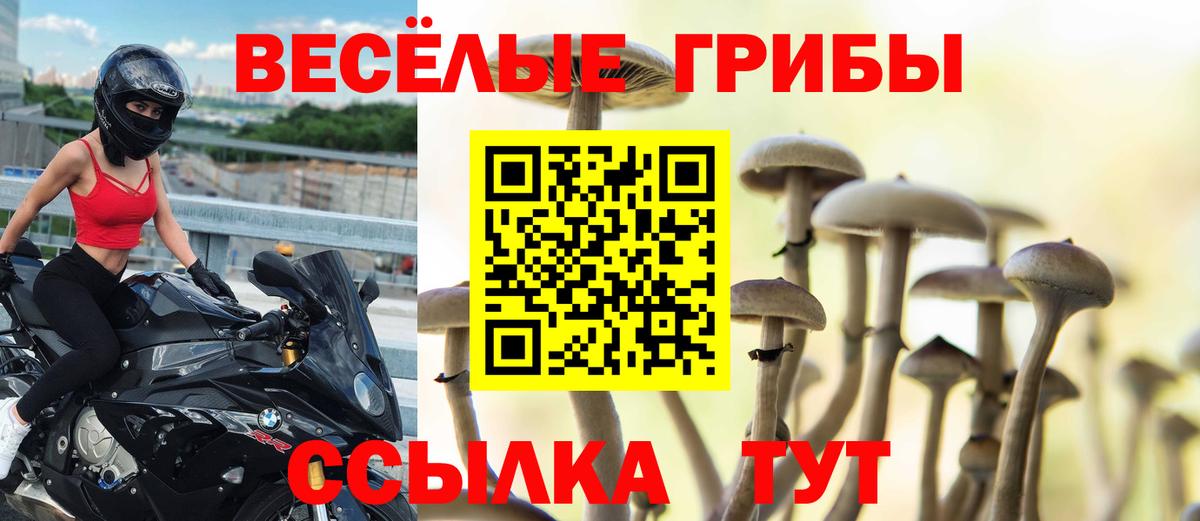 Галлюциногенные грибы MAGIC MUSHROOMS  Вход с VPN  Добрянка  Галлюциногенные грибы прущие грибы 