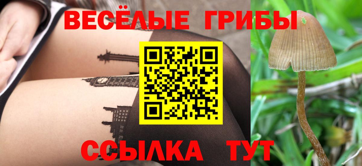 Псилоцибиновые грибы MAGIC MUSHROOMS Добрянка